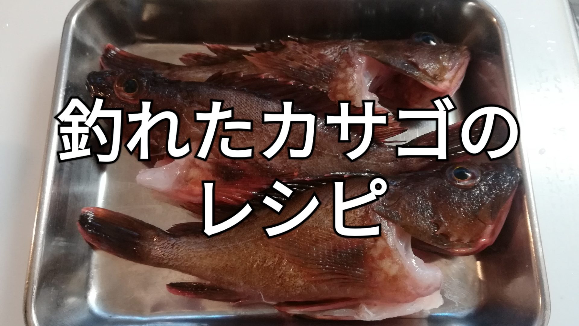 カサゴのレシピ集 アングリングクッキング